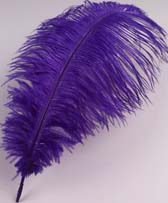 Strucctoll 55-60 cm - PURPLE #34 